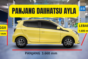 Panjang Mobil Ayla